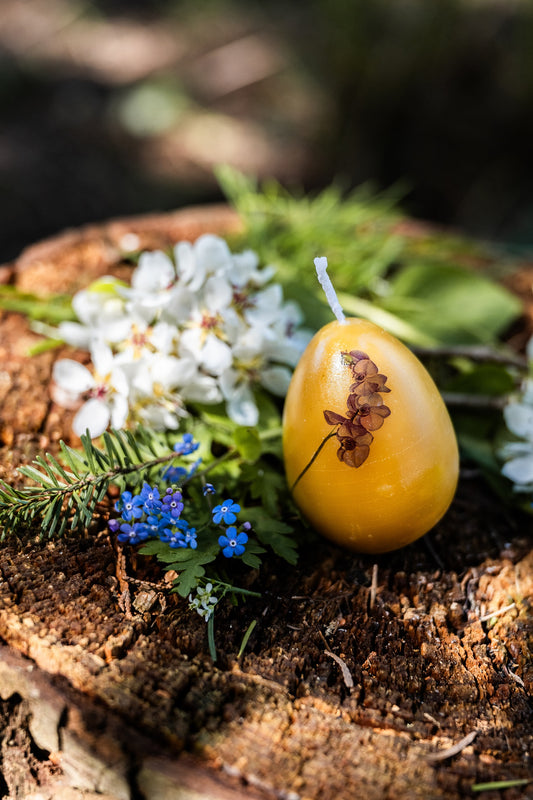 Egg shaped beeswax candle