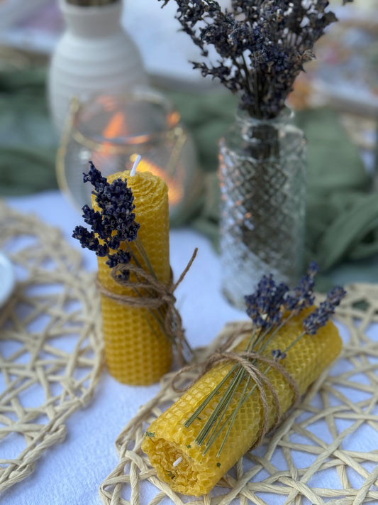 Birthday Party Class. Starts from: